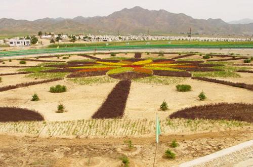 中鐵二十局在隨岳中高速公路